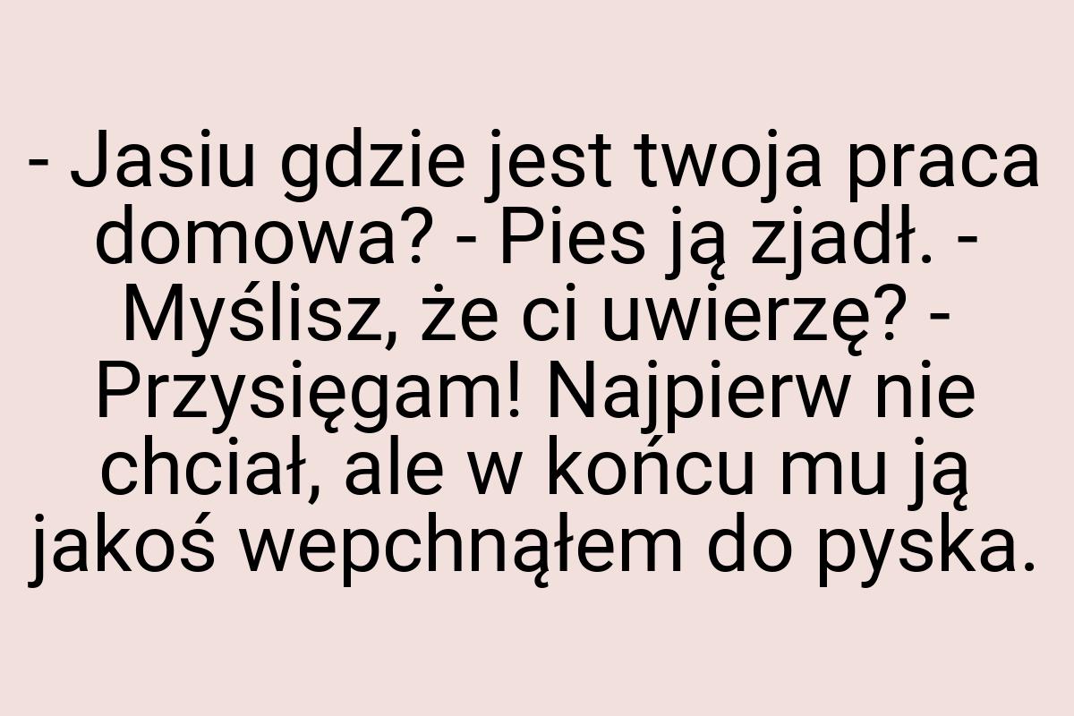 - Jasiu gdzie jest twoja praca domowa? - Pies ją zjadł