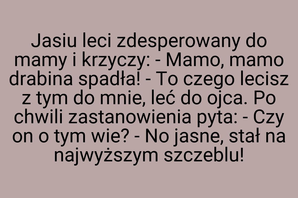 Jasiu leci zdesperowany do mamy i krzyczy: - Mamo, mamo