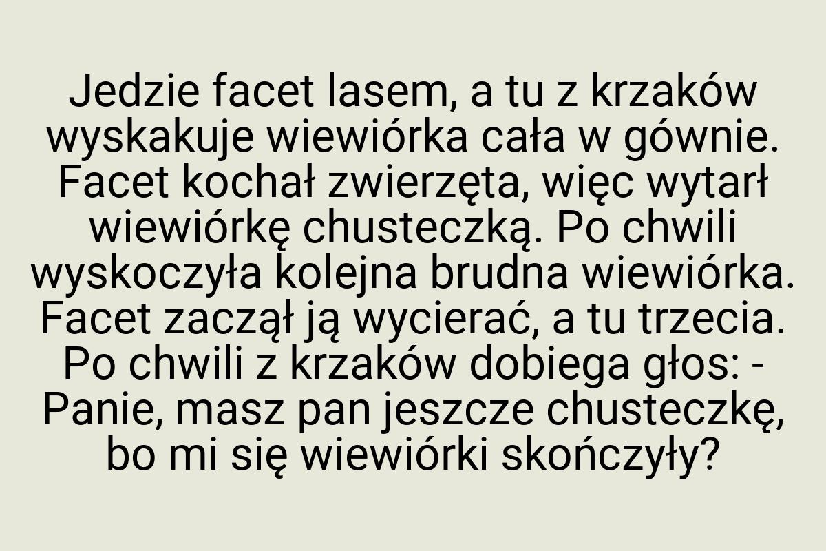 Jedzie facet lasem, a tu z krzaków wyskakuje wiewiórka cała