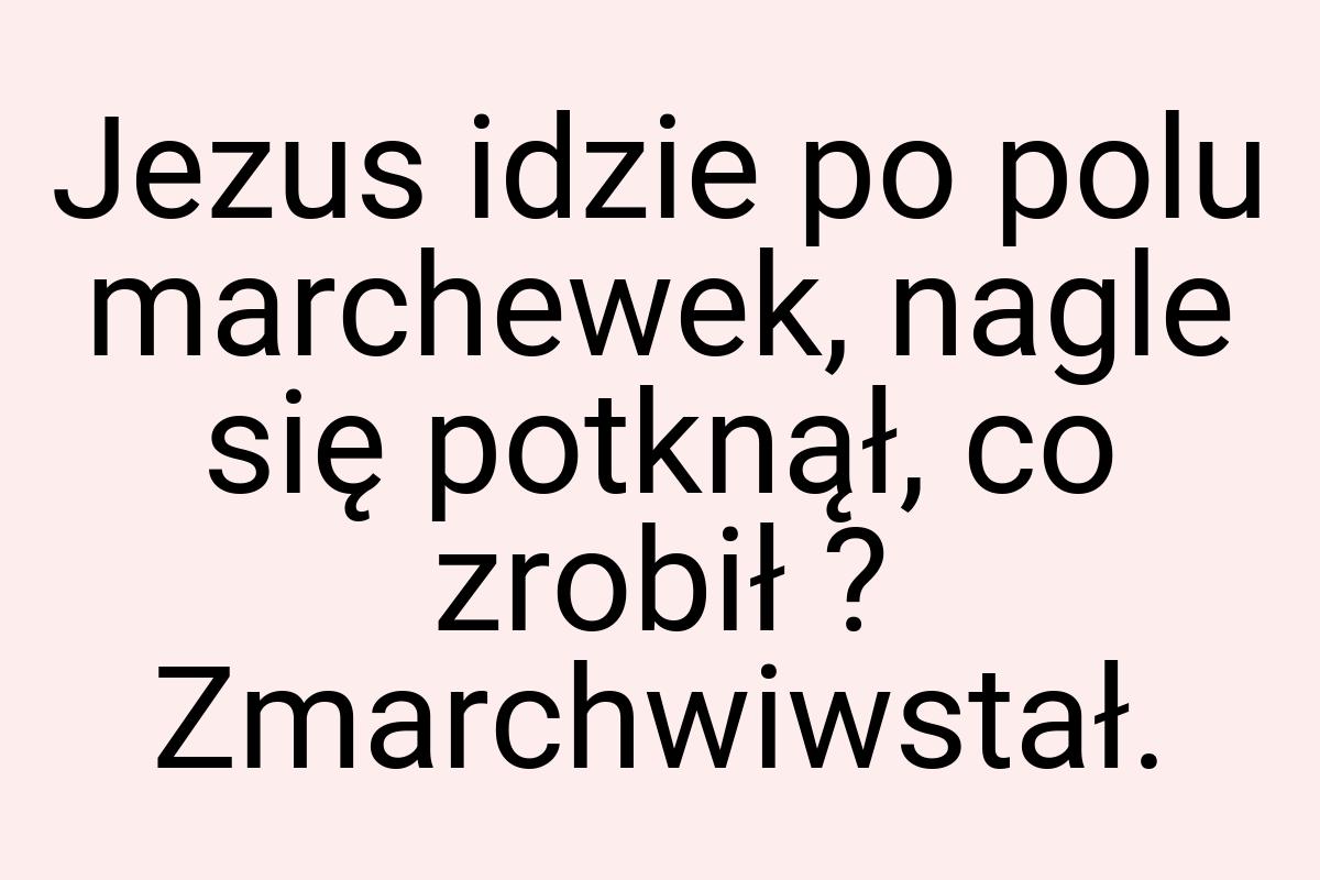 Jezus idzie po polu marchewek, nagle się potknął, co zrobił