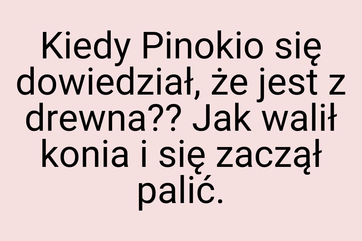 Kiedy Pinokio się dowiedział, że jest z drewna?? Jak walił