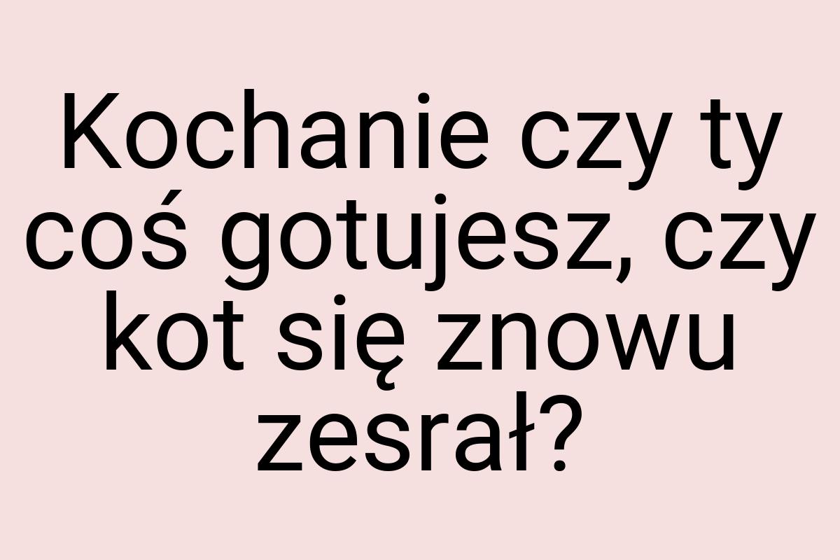 Kochanie czy ty coś gotujesz, czy kot się znowu zesrał