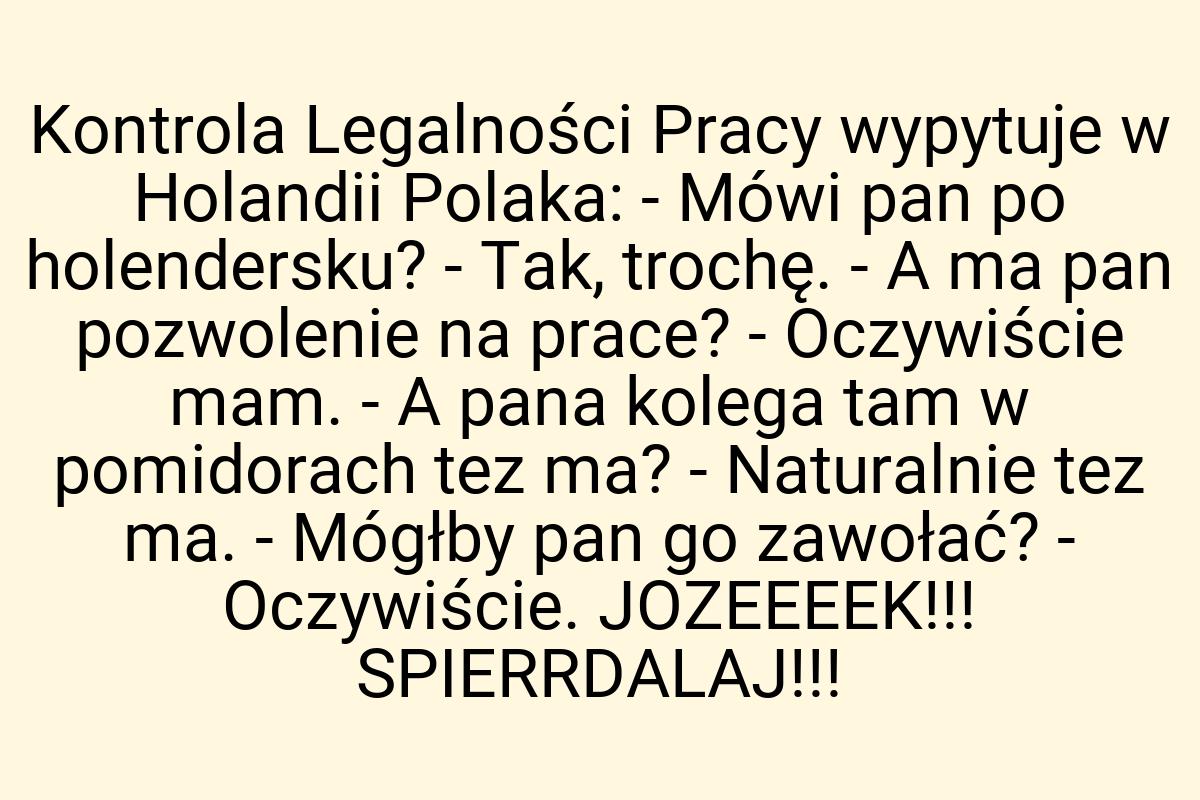 Kontrola Legalności Pracy wypytuje w Holandii Polaka