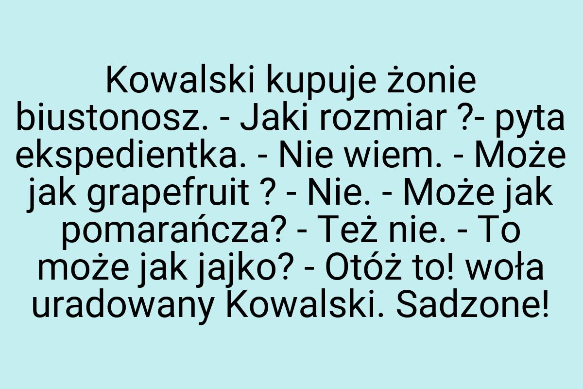 Kowalski kupuje żonie biustonosz. - Jaki rozmiar ?- pyta