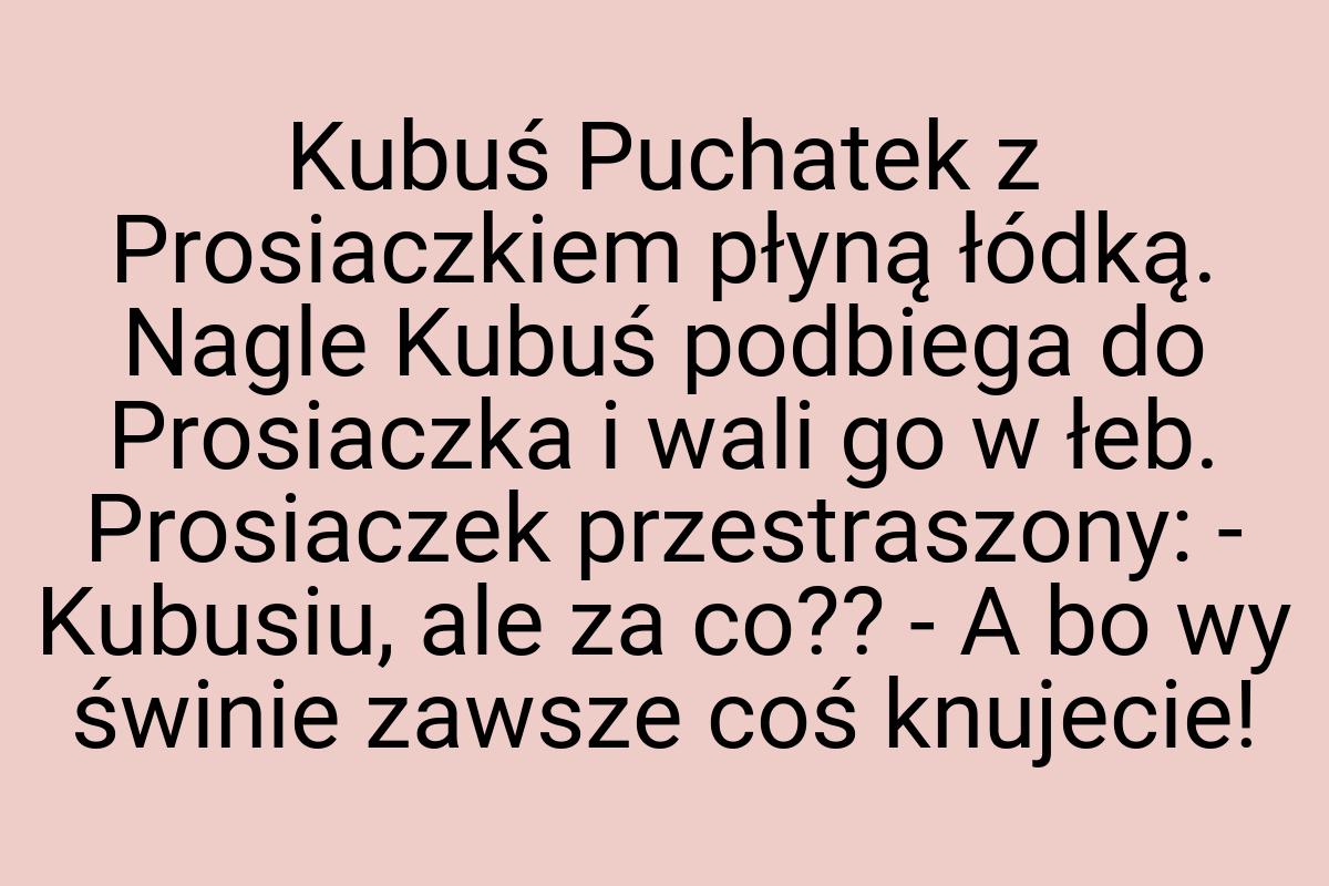 Kubuś Puchatek z Prosiaczkiem płyną łódką. Nagle Kubuś