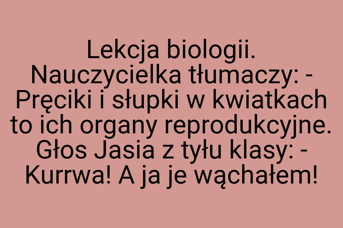 Lekcja biologii. Nauczycielka tłumaczy: - Pręciki i słupki