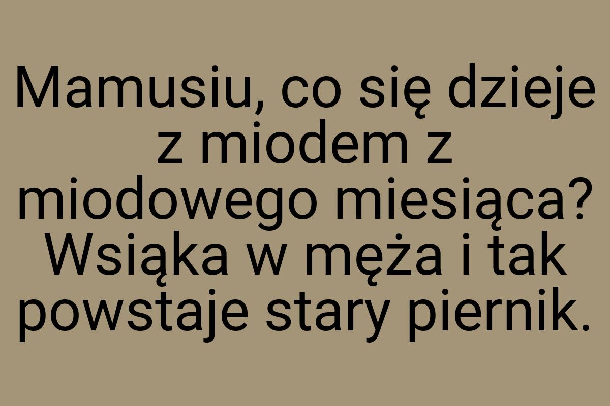 Mamusiu, co się dzieje z miodem z miodowego miesiąca