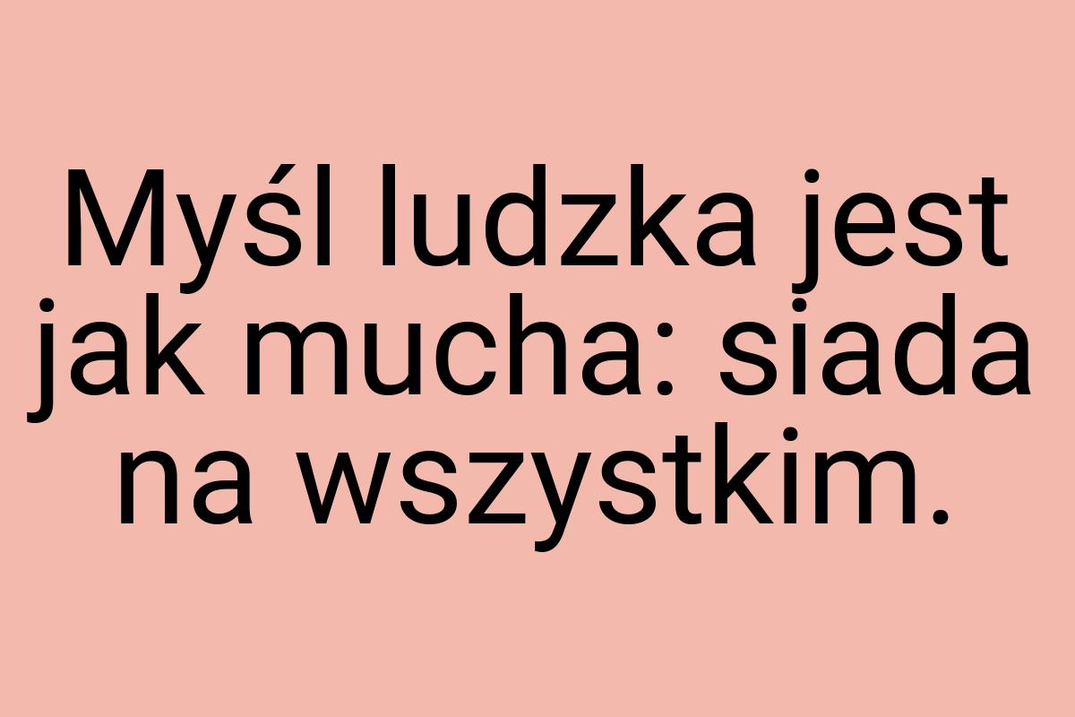 Myśl ludzka jest jak mucha: siada na wszystkim