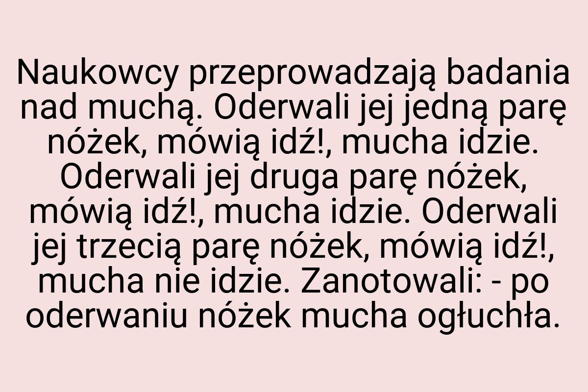 Naukowcy przeprowadzają badania nad muchą. Oderwali jej