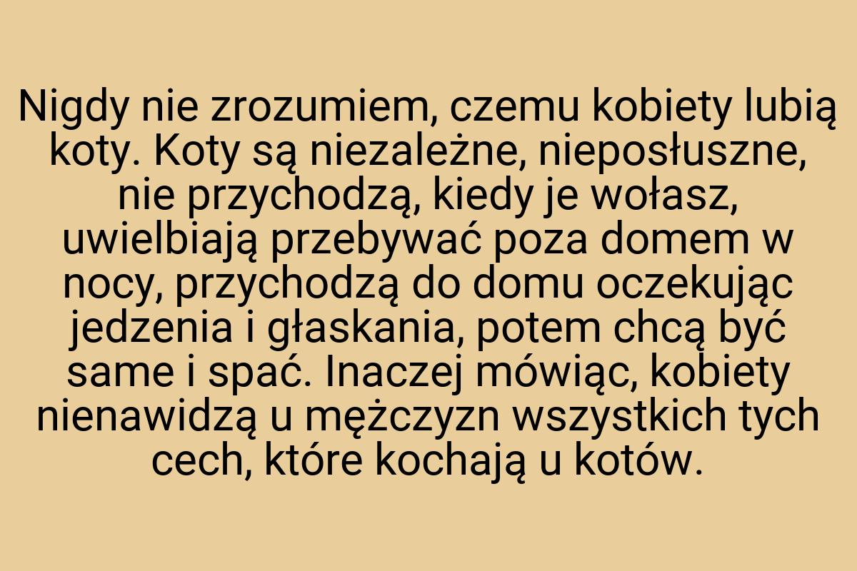 Nigdy nie zrozumiem, czemu kobiety lubią koty. Koty są