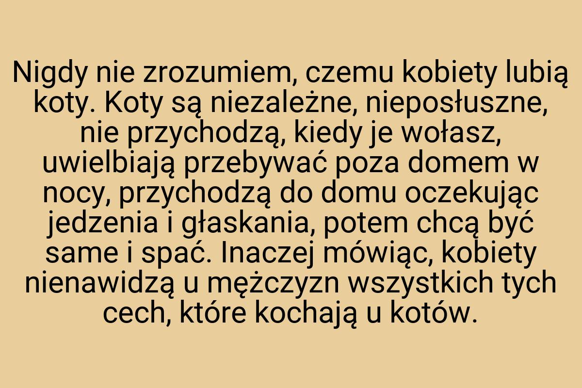 Nigdy nie zrozumiem, czemu kobiety lubią koty. Koty są