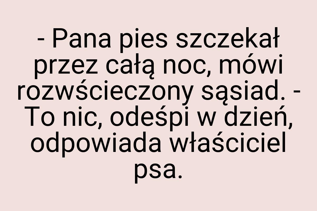 - Pana pies szczekał przez całą noc, mówi rozwścieczony