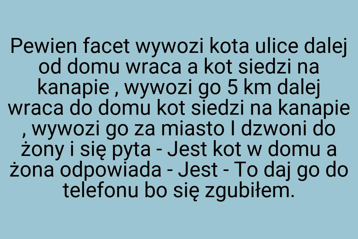 Pewien facet wywozi kota ulice dalej od domu wraca a kot