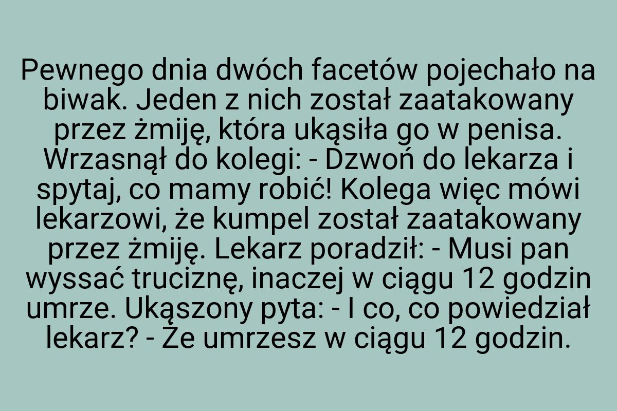 Pewnego dnia dwóch facetów pojechało na biwak. Jeden z nich