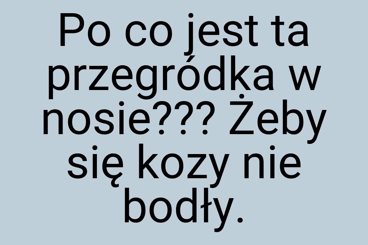 Po co jest ta przegródka w nosie??? Żeby się kozy nie bodły