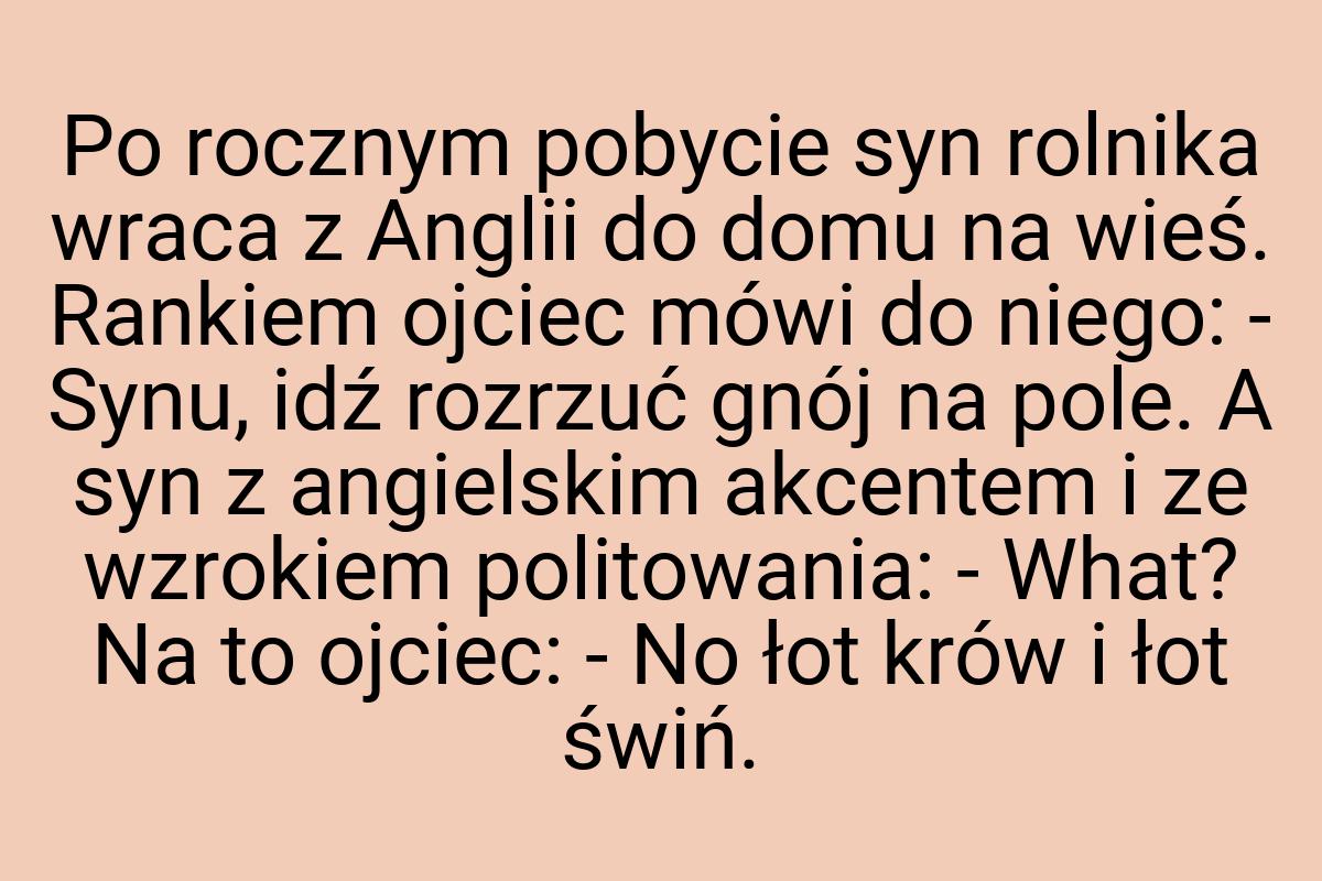 Po rocznym pobycie syn rolnika wraca z Anglii do domu na