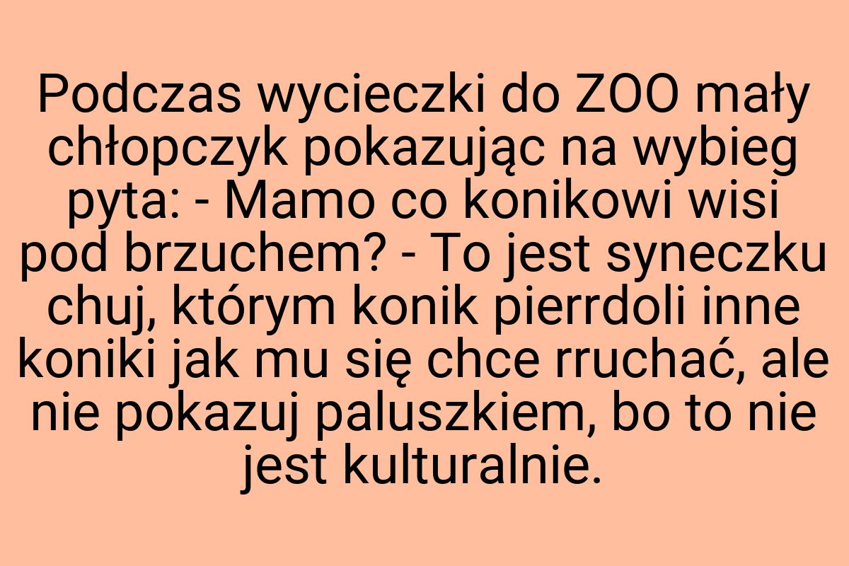 Podczas wycieczki do ZOO mały chłopczyk pokazując na wybieg