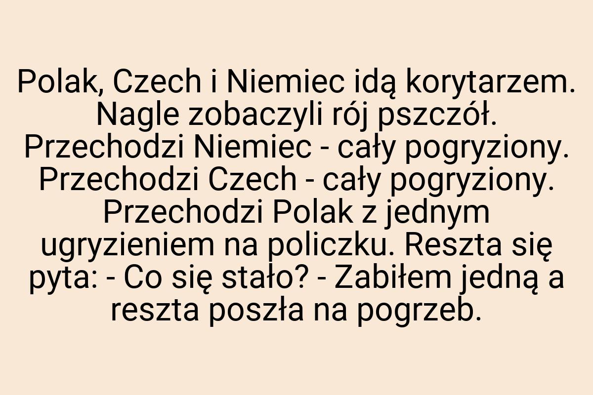 Polak, Czech i Niemiec idą korytarzem. Nagle zobaczyli rój