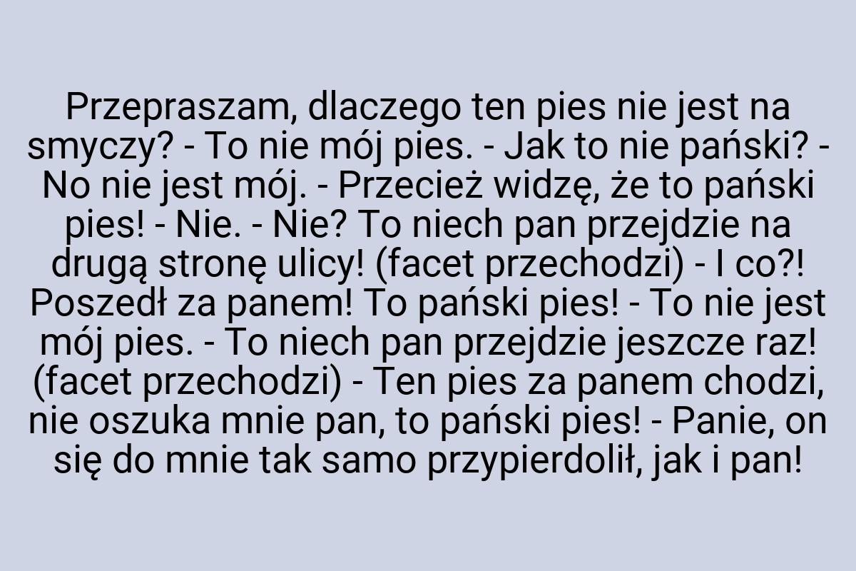 Przepraszam, dlaczego ten pies nie jest na smyczy? - To nie