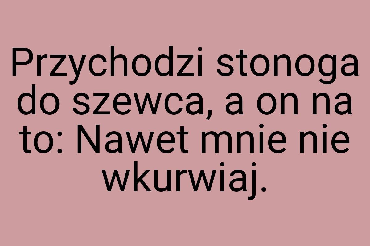 Przychodzi stonoga do szewca, a on na to: Nawet mnie nie