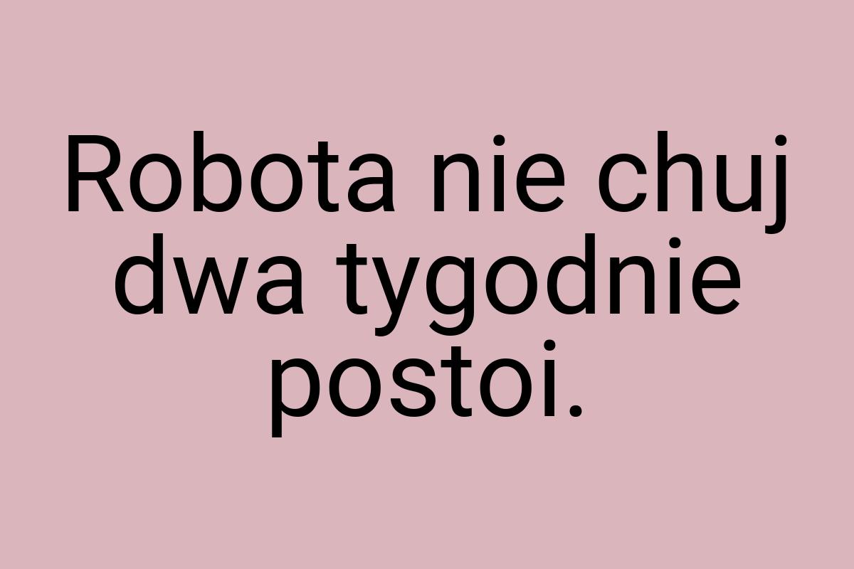 Robota nie chuj dwa tygodnie postoi