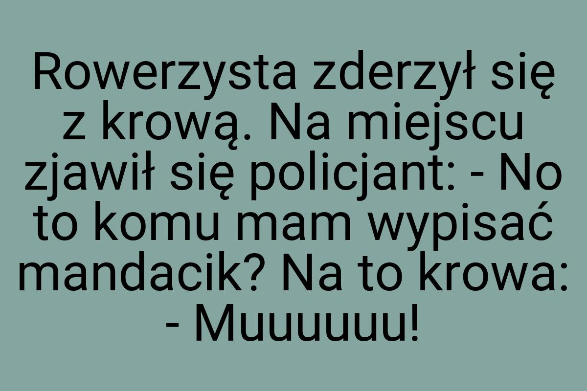 Rowerzysta zderzył się z krową. Na miejscu zjawił się