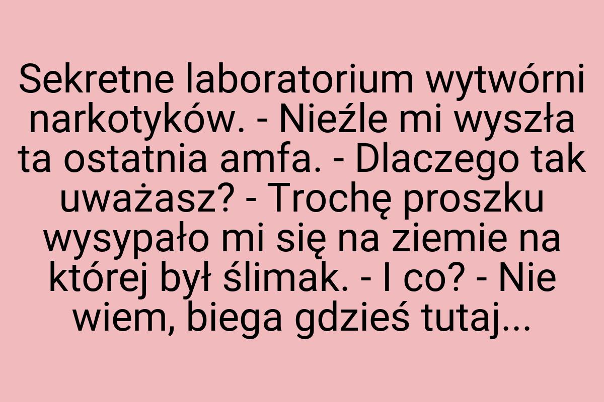 Sekretne laboratorium wytwórni narkotyków. - Nieźle mi