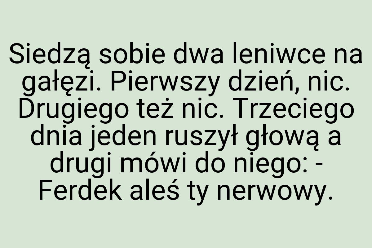 Siedzą sobie dwa leniwce na gałęzi. Pierwszy dzień, nic