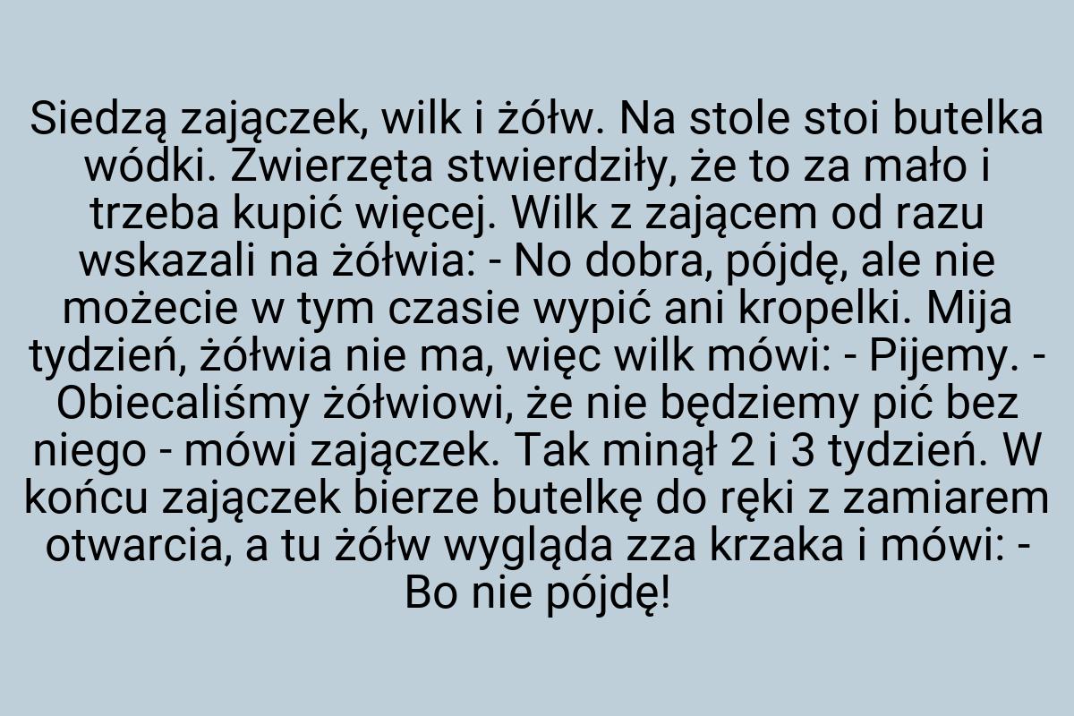 Siedzą zajączek, wilk i żółw. Na stole stoi butelka wódki