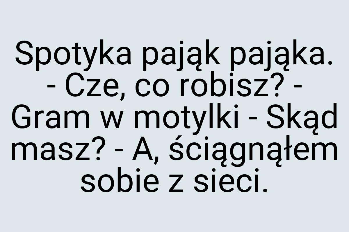 Spotyka pająk pająka. - Cze, co robisz? - Gram w motylki