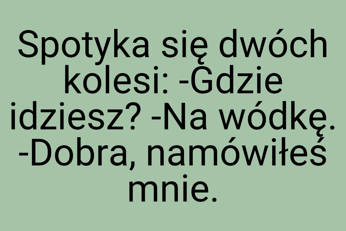 Spotyka się dwóch kolesi: -Gdzie idziesz? -Na wódkę