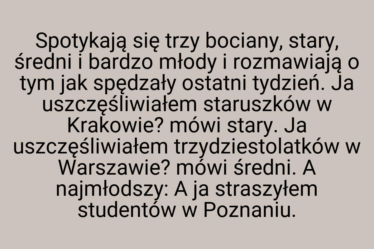 Spotykają się trzy bociany, stary, średni i bardzo młody i