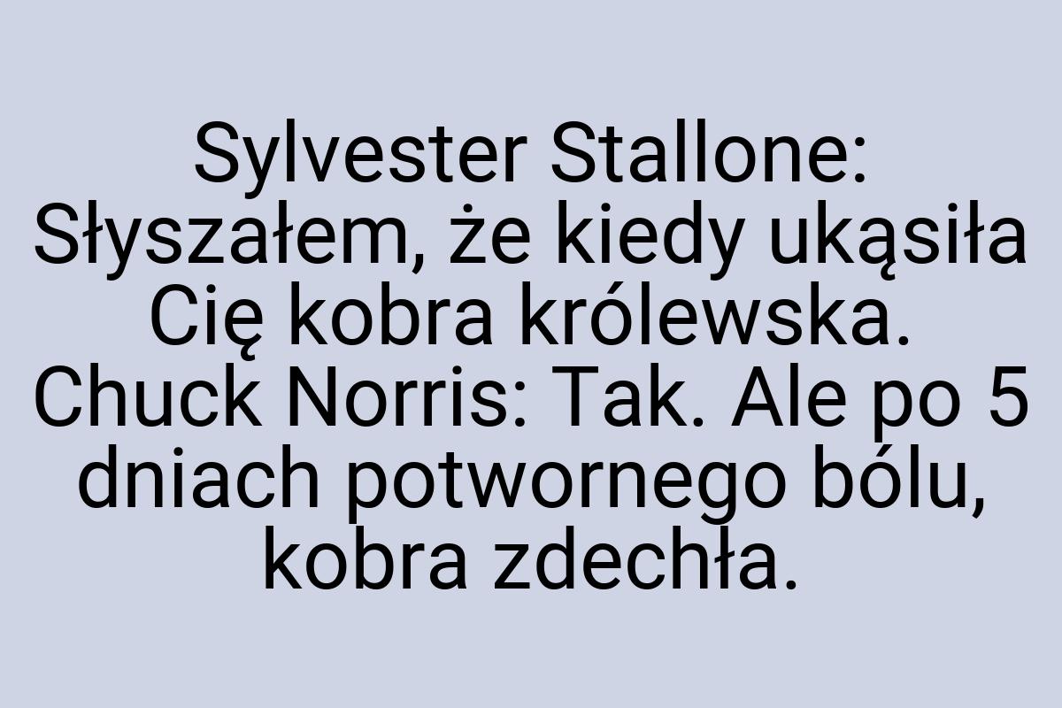 Sylvester Stallone: Słyszałem, że kiedy ukąsiła Cię kobra