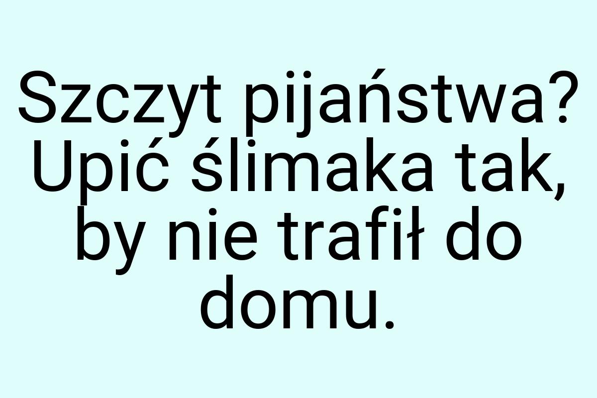 Szczyt pijaństwa? Upić ślimaka tak, by nie trafił do domu