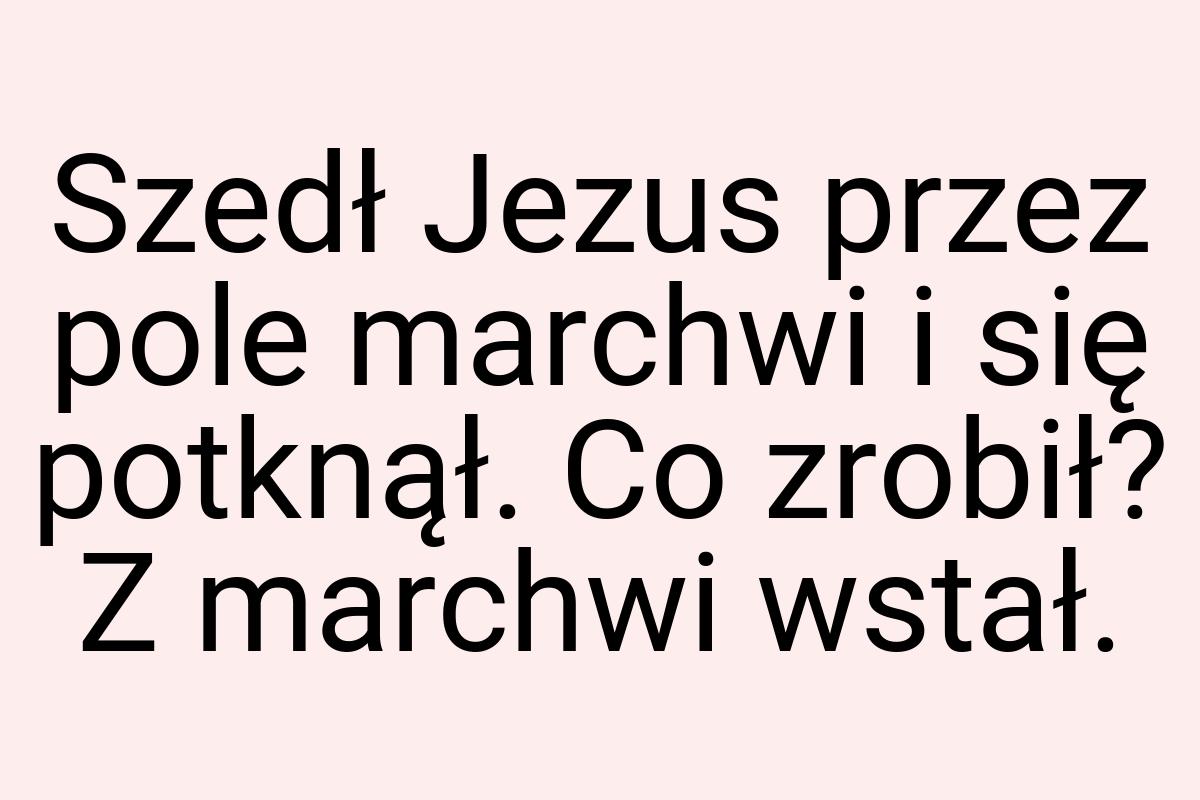 Szedł Jezus przez pole marchwi i się potknął. Co zrobił? Z