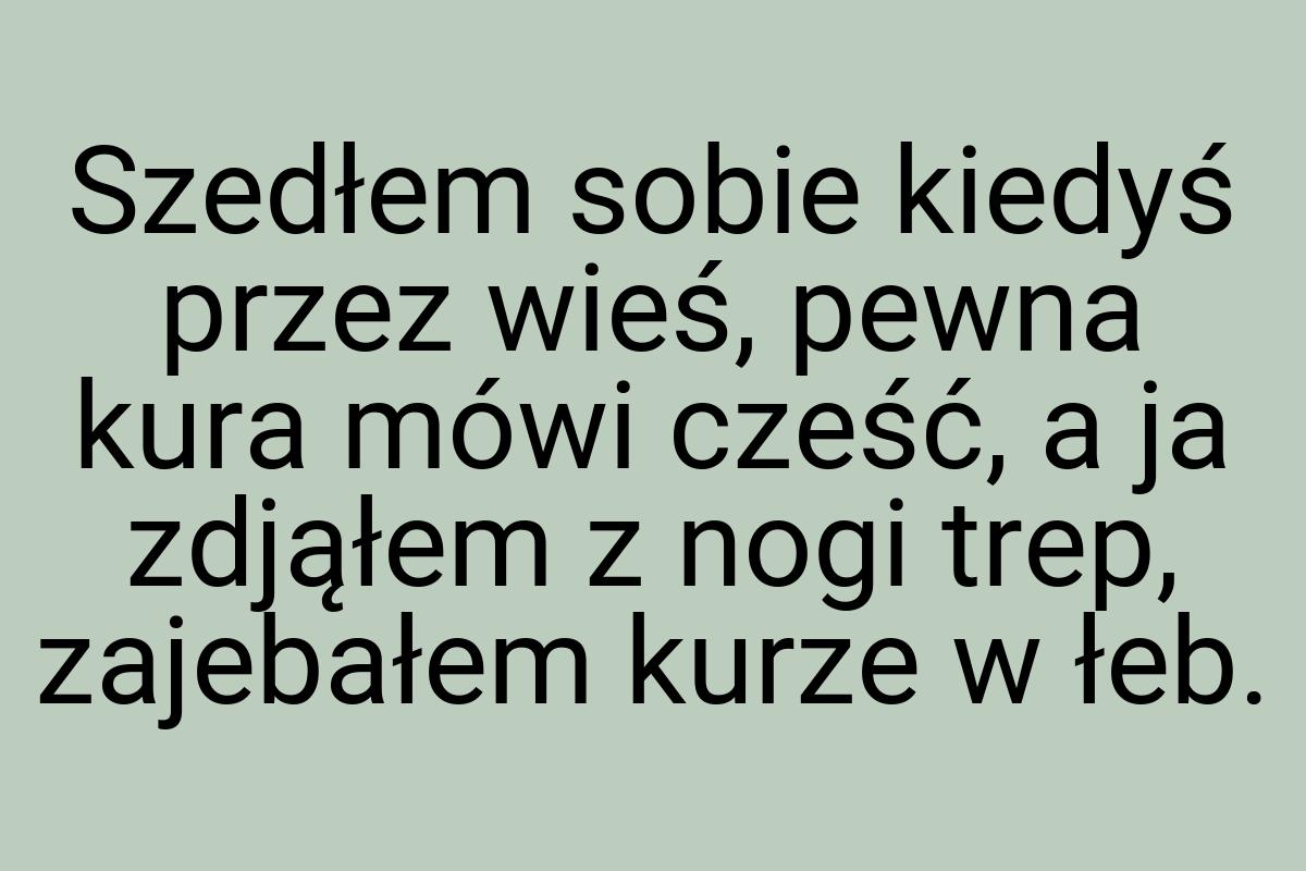 Szedłem sobie kiedyś przez wieś, pewna kura mówi cześć, a