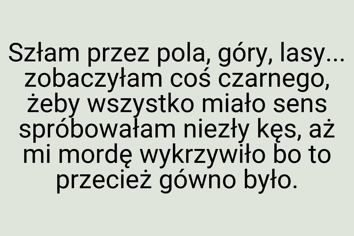 Szłam przez pola, góry, lasy... zobaczyłam coś czarnego