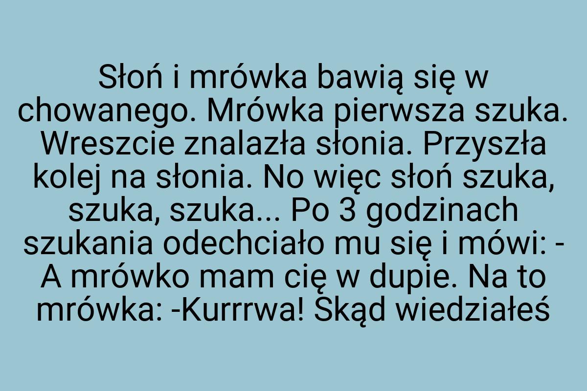 Słoń i mrówka bawią się w chowanego. Mrówka pierwsza szuka