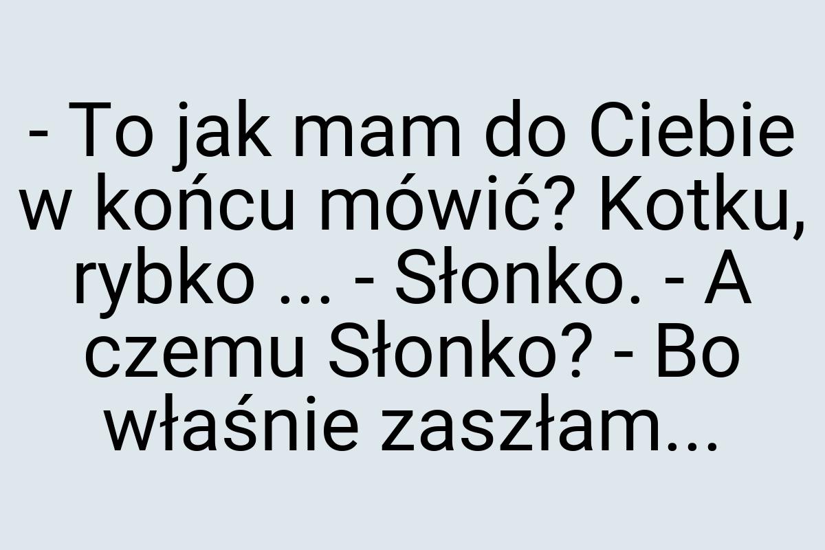 - To jak mam do Ciebie w końcu mówić? Kotku, rybko