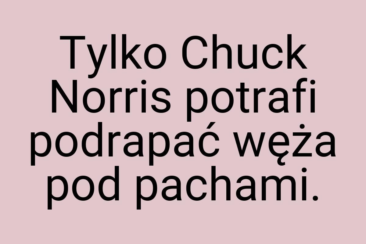 Tylko Chuck Norris potrafi podrapać węża pod pachami