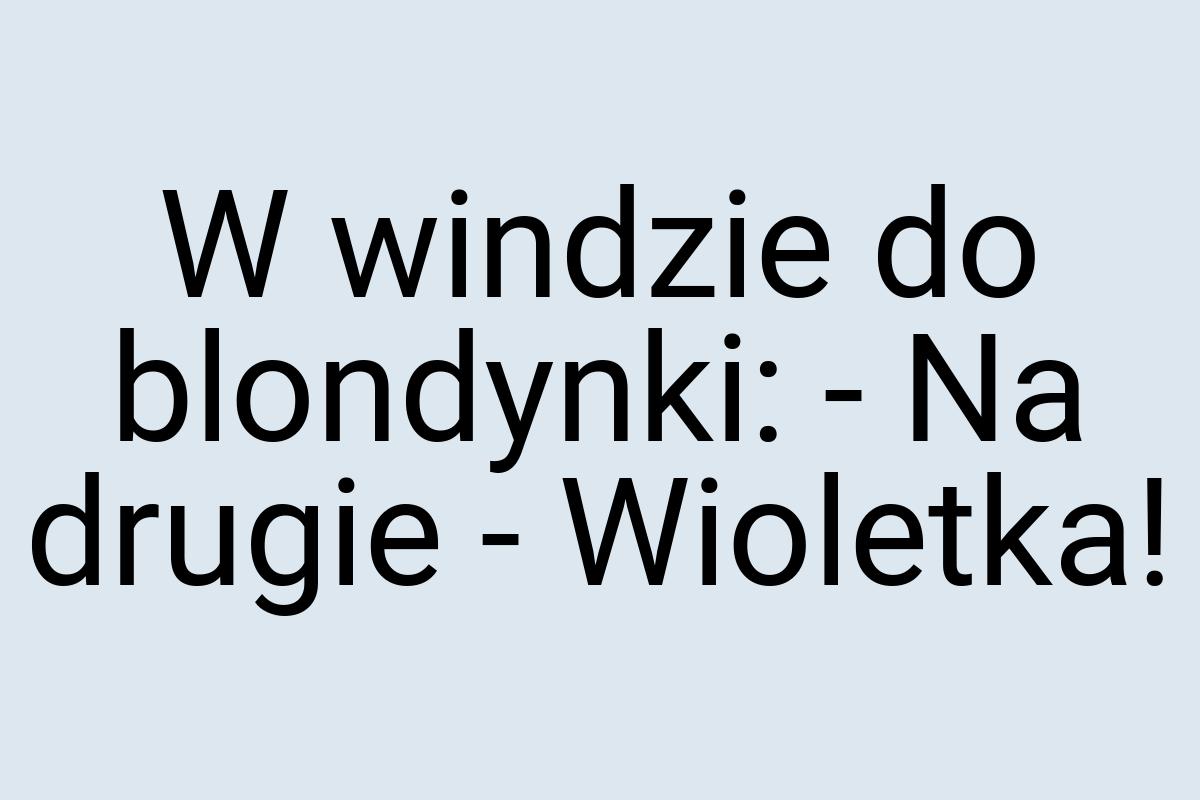 W windzie do blondynki: - Na drugie - Wioletka