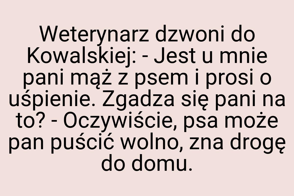 Weterynarz dzwoni do Kowalskiej: - Jest u mnie pani mąż z