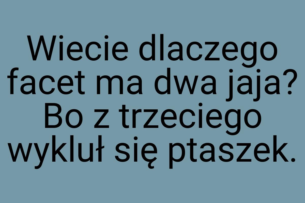 Wiecie dlaczego facet ma dwa jaja? Bo z trzeciego wykluł