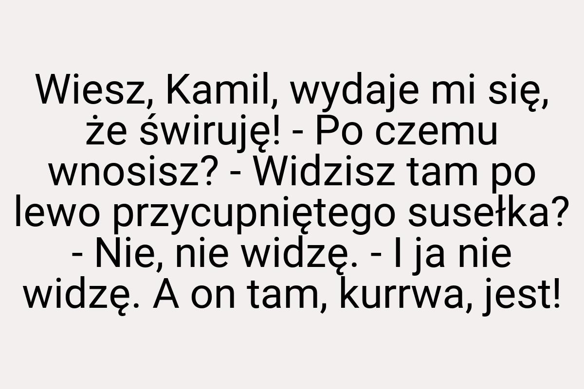 Wiesz, Kamil, wydaje mi się, że świruję! - Po czemu