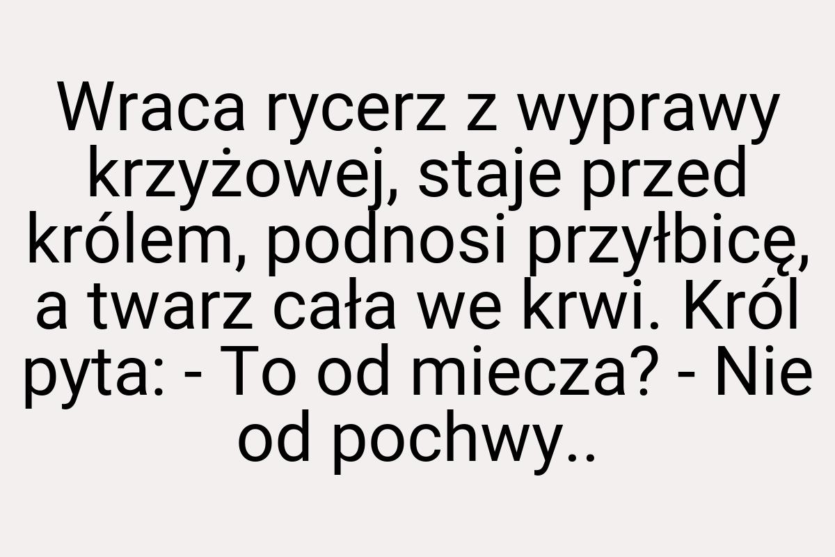 Wraca rycerz z wyprawy krzyżowej, staje przed królem