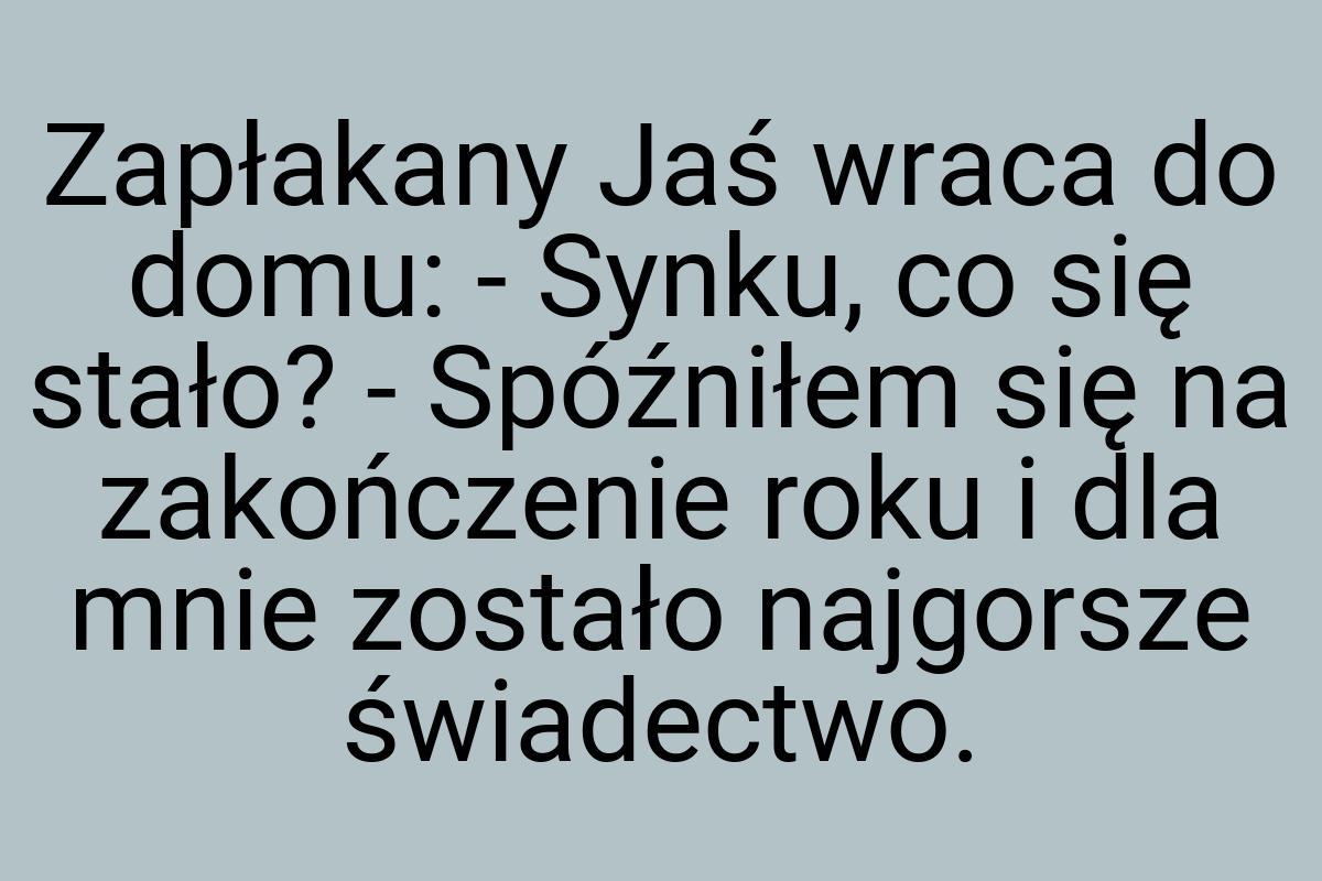 Zapłakany Jaś wraca do domu: - Synku, co się stało