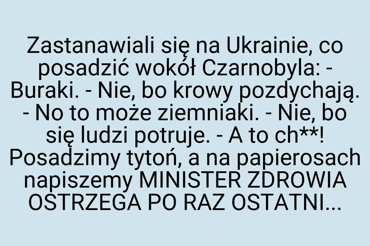 Zastanawiali się na Ukrainie, co posadzić wokół Czarnobyla