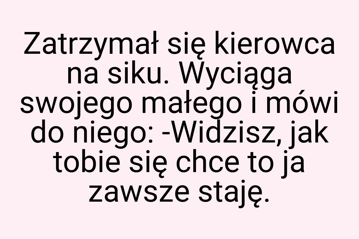 Zatrzymał się kierowca na siku. Wyciąga swojego małego i