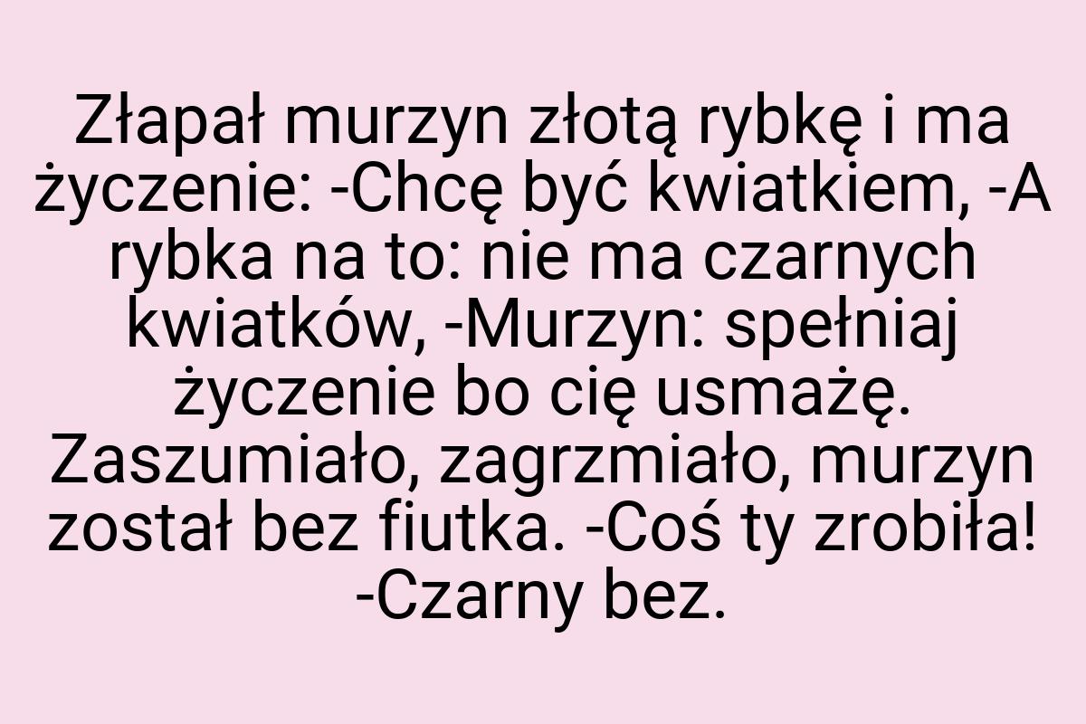 Złapał murzyn złotą rybkę i ma życzenie: -Chcę być