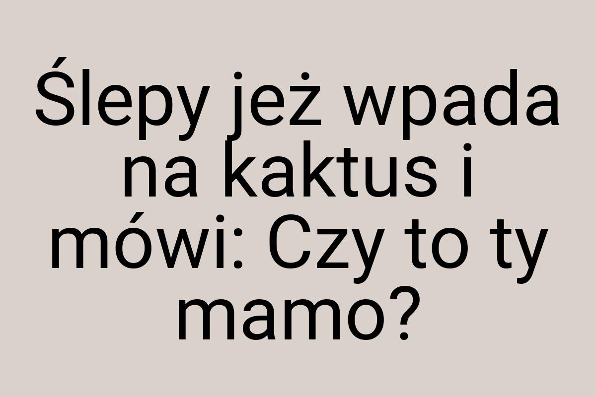 Ślepy jeż wpada na kaktus i mówi: Czy to ty mamo